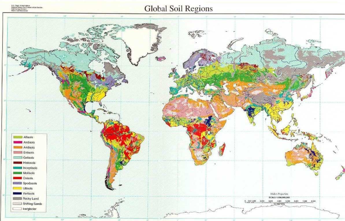 Dünya Toprak Harita