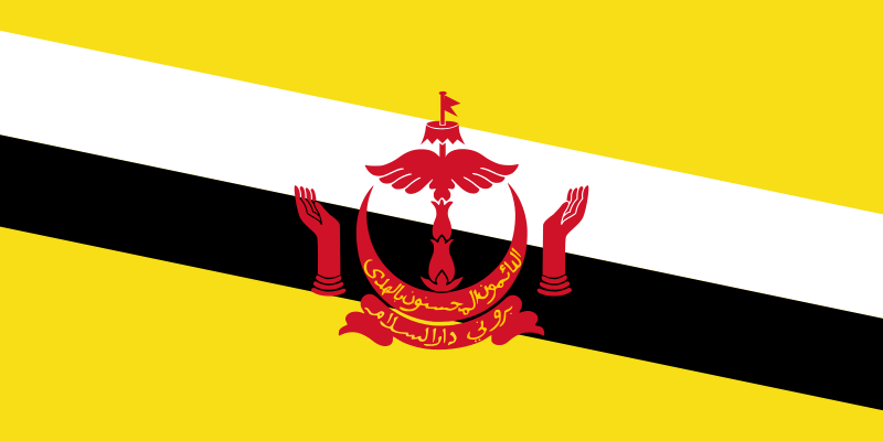 Brunei bayragi