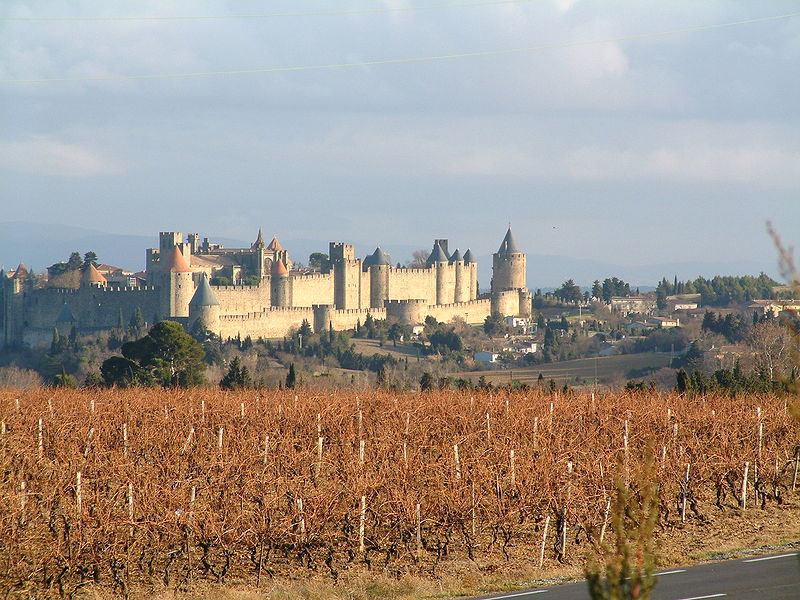 Carcassonne vine Fransa